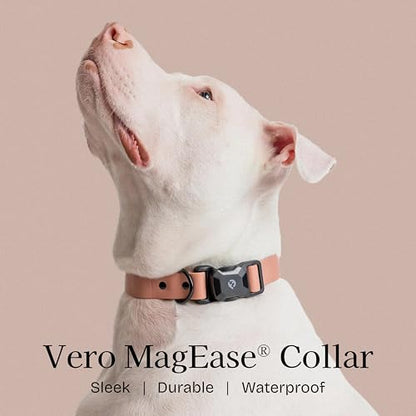Fei & Eve VERO Dog Collar, Blush, Large | MagEase Magnetic Buckle, Waterproof PVC, Odor Resistant, Easy Clean, Heavy Duty - color: Blush, size: L