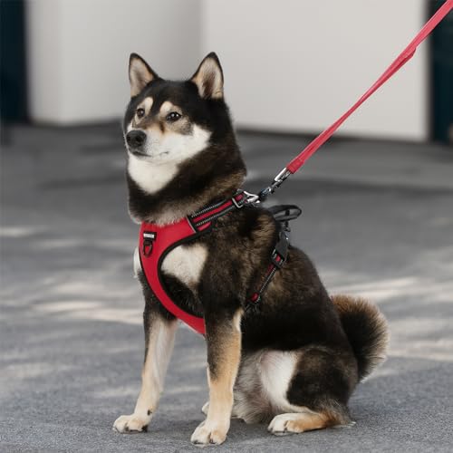 Voyager Dog Harness Dual Leash Attachment No-Pull Control Adjustable Soft but Strong Pet Harness for Medium and Large Dogs with 3M Reflective Technology, Red Lattice Nylon, XS (Chest: 13-16") - color: Red Lattice Nylon, size: XS (Chest: 13 - 16")