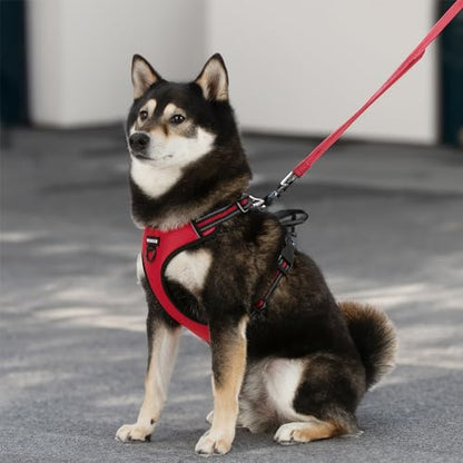 Voyager Dog Harness Dual Leash Attachment No-Pull Control Adjustable Soft but Strong Pet Harness for Medium and Large Dogs with 3M Reflective Technology, Red Lattice Nylon, M (Chest: 20-25") - color: Red Lattice Nylon, size: M (Chest: 20 - 25")