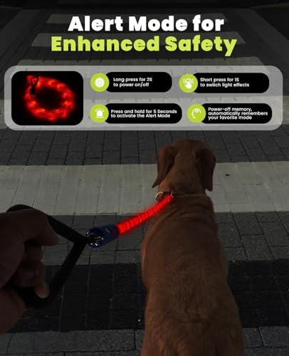 Xeuch Light Up Dog Leash, LED Pet Leash for Night Walking,13 Lighting Modes, Rechargeable Dog Lights, Glow in The Dark Walking Leashes with Tangle-Free Hook for Medium Large Dogs (Leash-5Ft) - color: Leash-5Ft