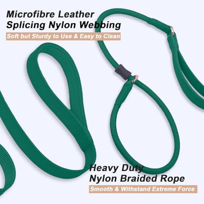 Slip Lead Dog Leash, Dog Training Leash with Double Handle, Soft Leather Slip Leash and Collar, Heavy Duty Nylon Dog Lead, No Pull Walking for Medium Large Small Dogs 5ft Dark Green - color: Dark Green, size: 5ft