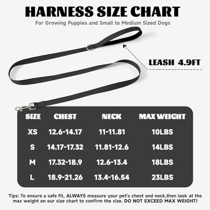 Dog Harness Small Sized and Leash Set, Step in Soft Light Puppy Vest, Breathable Mesh Pet Harness, Reflective for Safe Easy Walking. - color: Black, size: Large (Pack of 1)