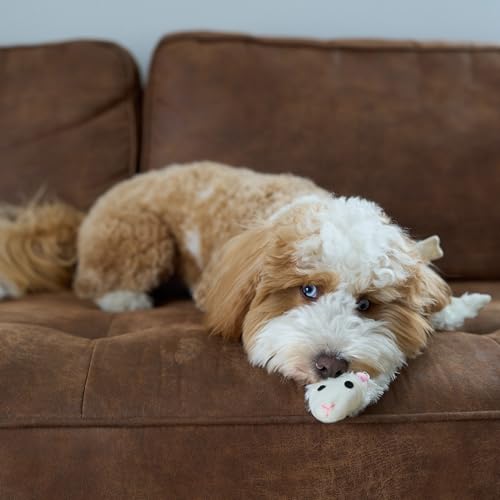 SPOT Skinneeez Crinklers Lamb - Stuffing-Free Dog Toy with Crinkle & Squeaker Sounds, Durable for Moderate Chewers, Tug Toy for Small Dogs & Puppies, 14in - style: Small Lamb