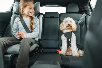 Thule Cappy Dog Harness L - Crash-Tested for Safety - Seatbelt passthrough - Adjustable & Easy to Clean - Padded Breathable mesh Panels - Leash Loop - Step-in Design - size: Large
