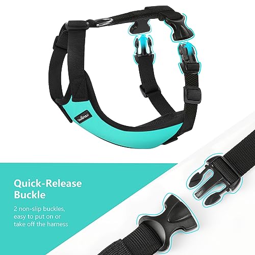VavoPaw Dog Seat Belt, Safety Vest Dog Car Harness with Adjustable Buckle Dog Seat Belt for Vehicle Nylon Pet Safety Seat Belts Heavy Duty(XXL, Blue) - color: Blue, size: XXL (Chest: 30.7-51.2", Neck: 16.1-26.4")