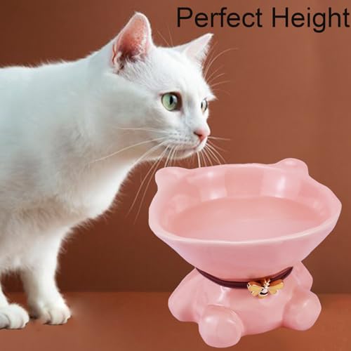 Cat Bowl Elevated Cat Bowls Whisker Friendly Cute Ceramic Tilted Food Bowls for Indoor Cats 5.4 Inch Wide 15° Raised Kitten Supplies Dishwasher and Microwave Safe Pink Cats Water Bowl - color: Pink Ceramic Cat Food Bowl