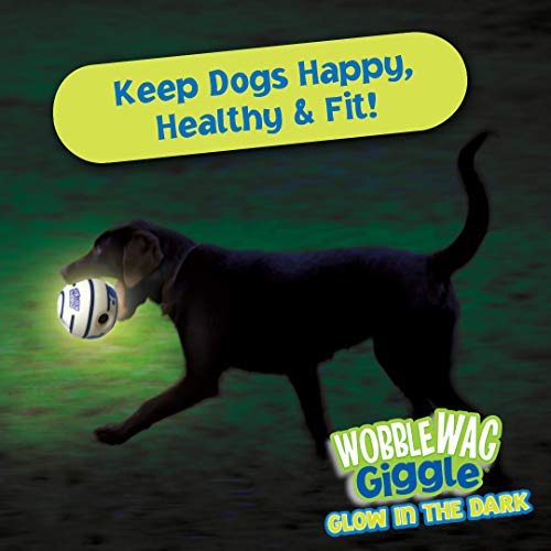 Wobble Wag Giggle Glow in the Dark | Rolling Enrichment Toy for Playtime, Interactive Play for Indoor or Outdoor, Keeps Dogs & Puppies Large, Medium or Small Busy & Moving, As Seen on TV | Pack of 1 - style: Glow In The Dark