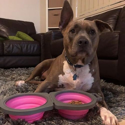 Loving Pets Bella Roma Double Diner Collapsible Dog Bowls - Silicone Dog Bowls, Foldable Bowl, Puppy Essentials & Hiking Pet Supplies Great for Home & Travel (Pink, Small) - color: Pink