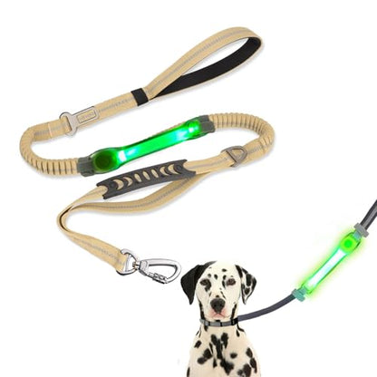 Heavy Duty Dog Leash and LED Light Set, LED Light with Nylon Stickers, Universal Glowing Accessories Easy to Attach Collar Leash and Harness, Safety LED Light Up Band for Dogs at Night Walking - color: Coyote Brown