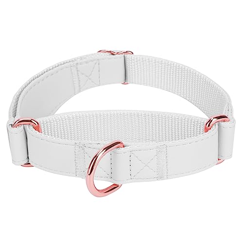 Soft Leather Martingale Dog Collar - Adjustable Rose Gold Limited Slip Collars [Easy to Clean], Stylish Durable Heavy Duty Nylon No Pull Training Collar for Small Medium Large Dogs XS White - color: White, size: XS (Neck 8"-11", Width 3/5")