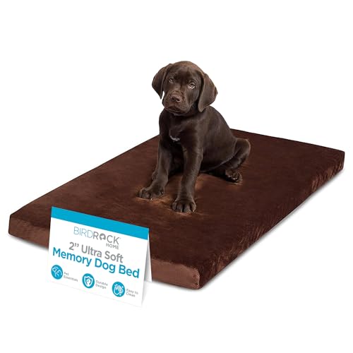 BIRDROCK HOME 2" Memory Foam Dog Bed | Ultra Soft Plush Pet Bed | Removable Cover | Pet | Crate Bed (34 x 22, Brown) - size: Medium