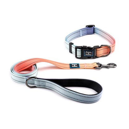 Roses&Poetry Personalized Samll Dog Collar and Leash Set, Puppy Reflective Dog Collars and Leashes with Gradient Azure, Adjustable Durable Pet Collars Leash for Small Dogs （Azure-S - color: Azure, size: S