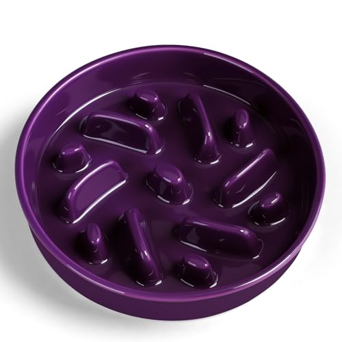 Ceramic Slow Feeder Dog Bowl, 2 Cups Dog Food Bowls for Small, Medium, and Large Breed, Anti-Slip Puzzle Food Dish to Slow Down Eating (Deep Purple, 2 Cups) - color: Maze - Deep purple