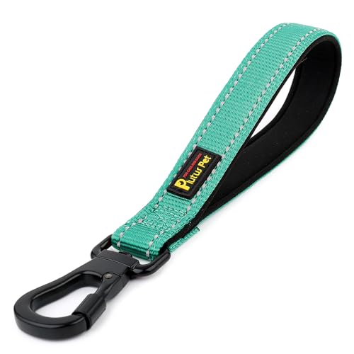 PLUTUS PET Short Dog Leash, Reflective Nylon Padded Handle, Strong Traffic Leash with Carabiner Clip, Perfect for Large or Medium Dogs (10”，Teal) - color: Teal, size: 10 Inch (Pack of 1)
