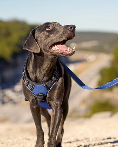 Joytale No Pull Dog Harness Medium Sized Dog, Reflective Pet Vest with Front Clip, Adjustable Soft Padded Harnesses with Easy Control Handle for Training and Walking, Navy Blue, M - color: Navy Blue, size: Medium