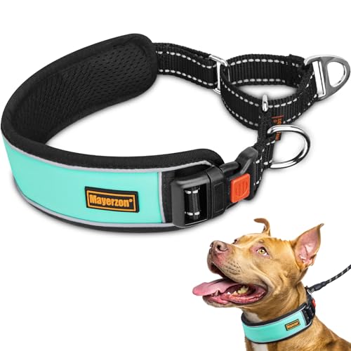 Mayerzon 2 Inch Wide Martingale Collar for Large Dogs, Patented No Pull Walking Training Dog Collar for Pitbull Bully, Heavy Duty Collar with Buckle, Reflective Stitching, Adjustable (Teal, M) - color: Teal, size: M: 17"-19"