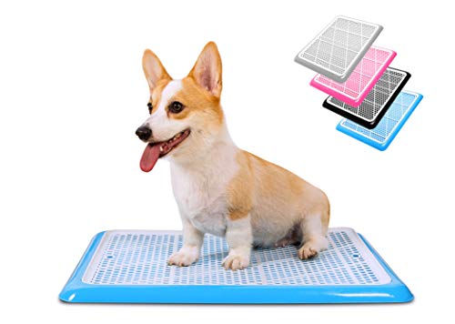 Pet Awesome Dog Potty Tray/Puppy Pee Pad Holder 25”x20” Indoor Wee Training for Small and Medium Dogs - color: Blue