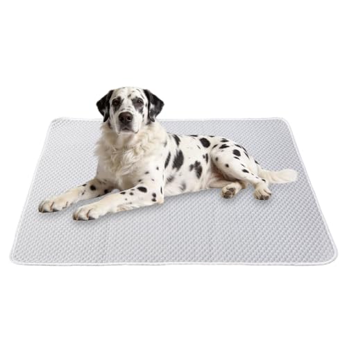 Dog Cooling Mat 60"x40" for Giant Dogs, XL | Q-Max>0.4 Ice-Silk, Waterproof Non-Slip, Machine Washable, Great Danes & Mastiffs, Crate Indoor Outdoor Travel - size: Extra Large 60"x40"