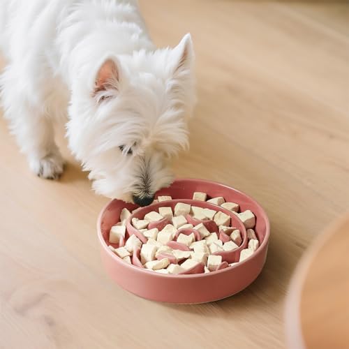 Ceramic Slow Feeder Dog Bowl, 0.8 Cups Anti -Slip Slow Feeding Bowl to Slow Down Eating, 6.3 Inch Dog Food Dish for Small Breeds, Pink - color: Pink, size: Small