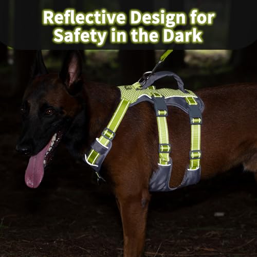 Huntboo Reflective Dog Harness with Handle, Escape Proof, No Slip, Breathable, Lightweight, Adjustable Lift Harness for Small, Medium, and Large Dogs Walking, Training,and Running Gear(Bright Green,L) - color: Bright Green, size: Large (Pack of 1)