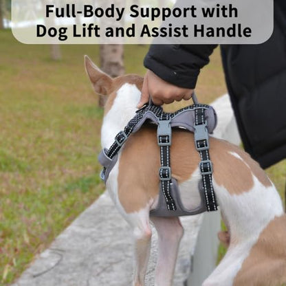 Huntboo Reflective Dog Harness with Handle, Escape Proof, No Slip, Breathable, Lightweight, Adjustable Lift Harness for Small, Medium, and Large Dogs Walking, Training, and Running Gear(Black,XS) - color: Black, size: X-Small(Pack of 1)