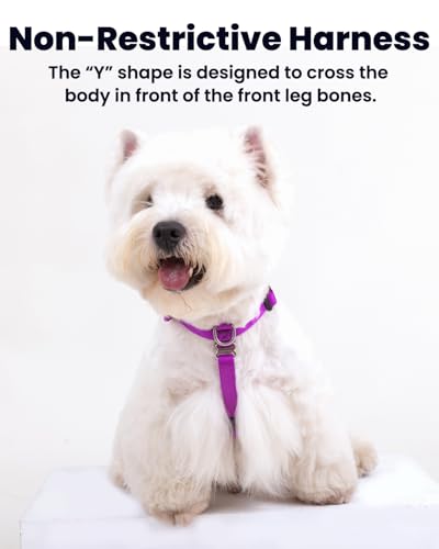 Non Restrictive Dog Harness, Purple, X-Small | Sewn-in Instructions Labels, Easy Walk, No Pull, 2 Clips for Back/Front, Neck Buckle - color: Purple, size: XS