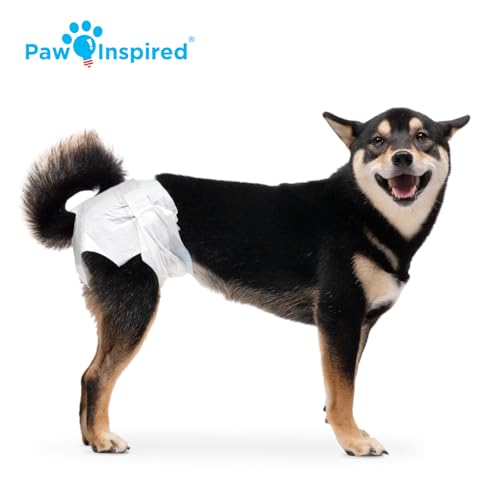 Paw Inspired Disposable Dog Diapers | Female Dog Diapers Ultra Protection | Diapers for Dogs in Heat, Excitable Urination, or Incontinence (144 Count, Medium) - size: Medium (144 Count)