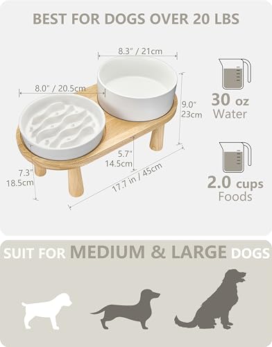 Ceramic Slow Feeder and Water Bowl Set for Medium and Large Dogs, 2.0 Cups Dog Slow Feeder(30oz) and 70oz Water Bowl Set, 8in, White - color: White, size: 8-Inch