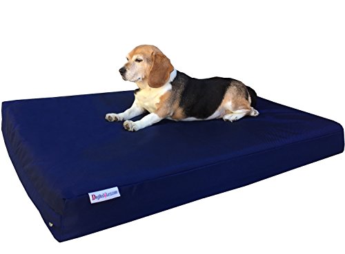 Dogbed4less Medium Large Orthopedic Dog Bed with Memory Foam for Pet, Waterproof Liner with Strong Nylon Blue External Cover, 37X27X4 Inches - color: Ballistic in Blue, size: Large 37" Length X 27" Width