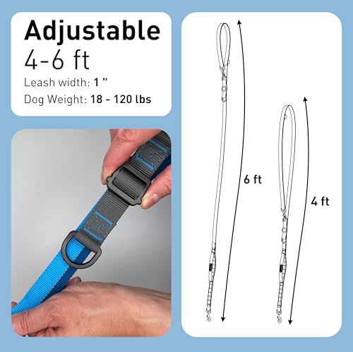Hands Free Dog Leash - Waist Leash for Walking and Hiking with Medium and Large Dogs, Adjustable 4 to 6 FT Bungee Lead with Traffic Handle by Nuvuq (18-120 lbs, Blue) - color: Blueberry Blue