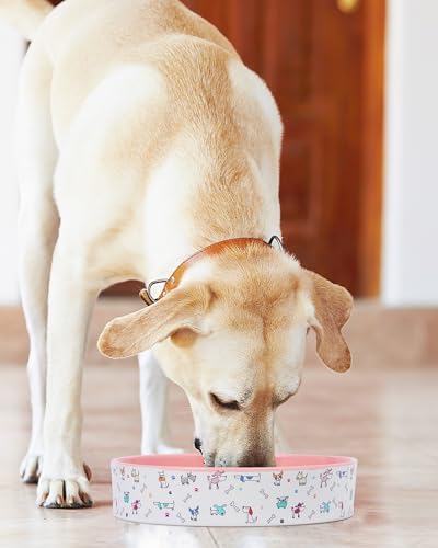 Slow Feeder Dog Bowl, Ceramic Dog Bowls 1.5 Cup Puzzle Feeder - Stops Fast Eating, Prevents Bloat, Choking & Black Chin for Medium/Large Dogs, Pink﻿ - color: Pink