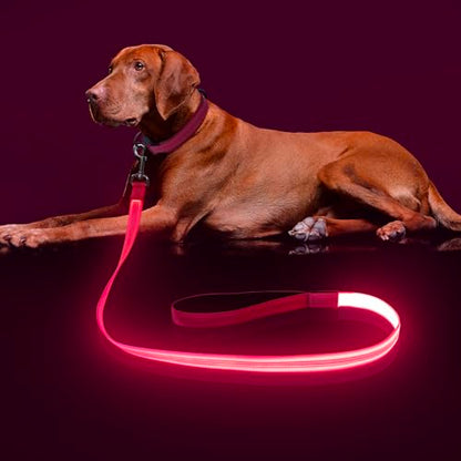 Colaseeme LED Light Up Dog Leash, USB Rechargeable (4FT,Pink) | Glow in dark, reflective, USB-C rechargeable, bright LED for night safety, fits small to large dogs - color: Pink, size: 4FT