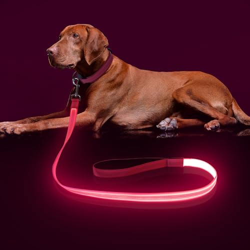 Colaseeme LED Light Up Dog Leash, USB Rechargeable (4FT,Pink) | Glow in dark, reflective, USB-C rechargeable, bright LED for night safety, fits small to large dogs - color: Pink, size: 4FT