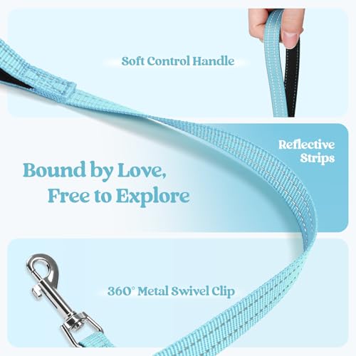 rabbitgoo Dog Harness Small Sized and Leash Set, Step in Soft Light Puppy Vest, Breathable Mesh Pet Harness, Reflective for Safe Easy Walking, Mint Blue XXXS - color: Mint Blue, size: Xxxs (chest: 10.8 - 11.8")