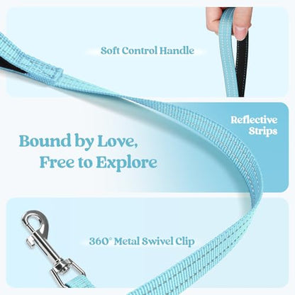 rabbitgoo Dog Harness Small Sized and Leash Set, Step in Soft Light Puppy Vest, Breathable Mesh Pet Harness, Reflective for Safe Easy Walking, Mint Blue XXXS - color: Mint Blue, size: Xxxs (chest: 10.8 - 11.8")