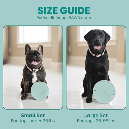 KindTail Dog Travel Bowls - Set of 2 Portable Pet Food & Water Dishes with Lid & Handle - Each Nesting Container Includes a Non-Slip Silicone Base - Microwave & Dishwasher Safe - BPA & Toxin-Free - color: Grey, size: Large