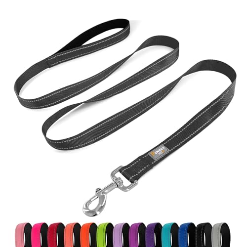 Dog Leash 6 FT Padded Handle Nylon Reflective Dogs Leashes for Small Dogs Black - color: Refl Black, size: Small : 5/8" x 6 FT