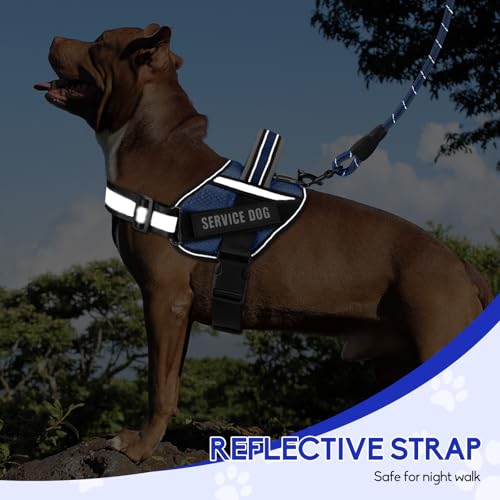 Service Dog Vest Harness and Leash Set, Animire in Training Dog Harness with 10 Dog Patches, Reflective Dog Leash with Soft Padded Handle for Small, Medium, Large, and Extra-Large Dogs (Blue,S) - color: Blue, size: S