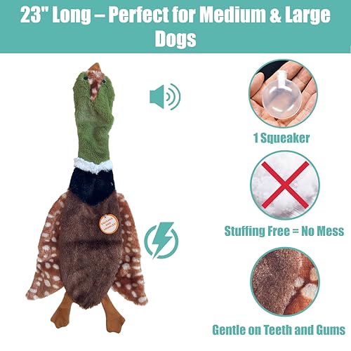 SPOT Skinneeez Crinklers Bird- Stuffing-Free Dog Toy with Crinkle and Squeaker Sounds, Durable Tug Toy for Moderate Chewers, Ideal for Medium and Large Dogs, Assorted Styles, 23 in - style: Large Bird