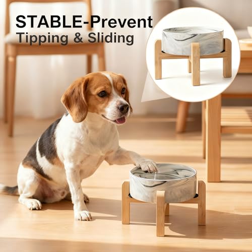 Elevated/Raised Ceramic Dog Bowl with Bamboo Stand,Marble Pattern 7 Inch 7.6 Cups Non Slip Heavy Weighted Single Pet Dish,Reduces Neck Strain Marble Gray - color: Marble Gray, size: 7.6Cups - Large