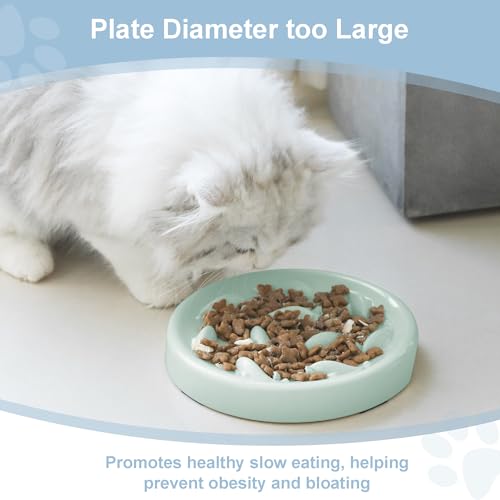 Slow Feeder Bowl for Cats and Small Dogs,Cilkus Fish Pool Design, Fun Interactive Bloat Stop Puzzle Feeder Bowl Healthy Eating Diet Made of Melamine Food Grade Material Dishwasher Safe (Green) - color: Green