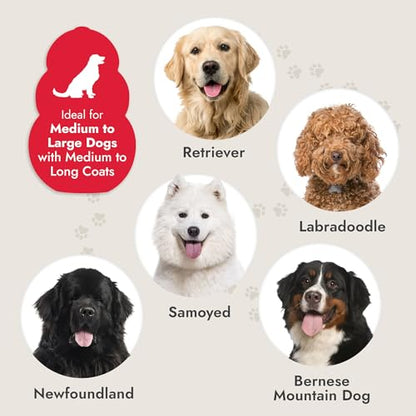 KONG Large Slicker Brush – Removes Loose Hair, Reduces Shedding, Comfortable Non-Slip Grip, Long Metal Pins, for Medium to Large Dogs with Medium to Long Coats, Red/Gray - size: Large Slicker