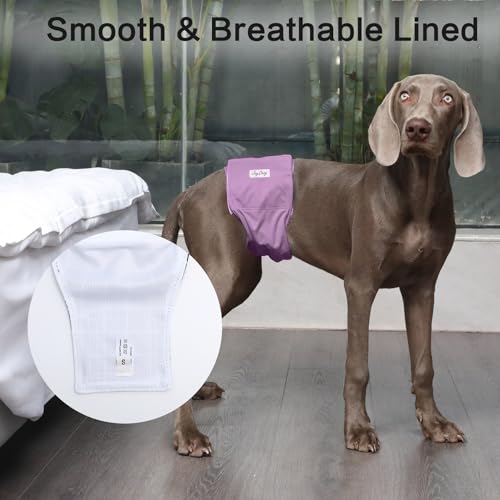 JoyDaog Reusable Dog Belly Bands for Male Dogs Diapers,5 Pack Premium Washable Dog Diapers Male Doggie Nappies Wrap,L - size: Large (Pack of 5)