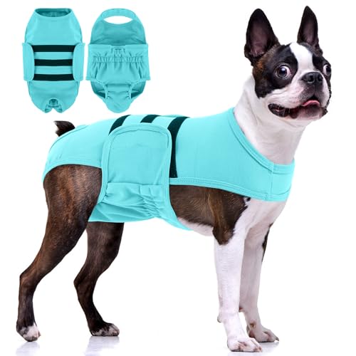 PUMYPOREITY Dog Diaper with Suspender, Escape-Proof Anti-Harassment Garment for Heat Cycle, Incontinence, Puppy Training, Senior Dog, M, Blue - color: Blue, size: Medium