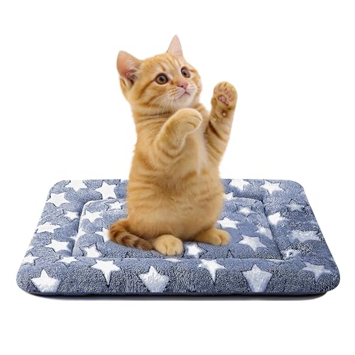 Dog Bed Mat for Crate, Soft Kennel Pad, Durable Comfort Mat for Dogs and Cats, Home and Crate Use (NavyBlue&Star, 18"*14"*1.5") - color: NavyBlue&Star, size: XS(18"*14"*1.5")