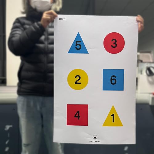 12-Pack Discretionary Command Training Target - 35 x 23 Inch, 3 Style Combo (DT2A, DT2B, DT2C) for Advanced Shooting Drills, Law Enforcement, and Personal Defense