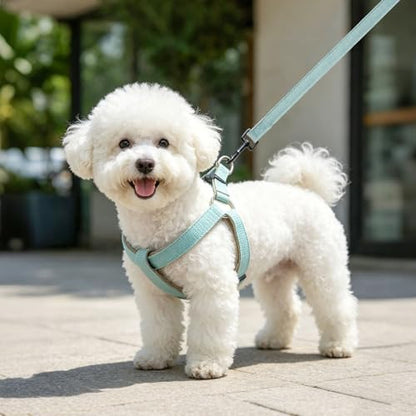 BEAUTYZOO Adjustable No Pull Dog Harness and Leash Set, Linen Style Woven Webbing Step-in Harness, Breathable Pet Vest for Small Medium Dogs Walking Training, Green M - color: Green, size: M(Chest:17.3-23.4")