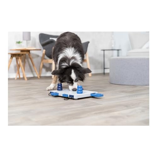TRIXIE Move-2-Win, Level 3, blue and white (32025) - color: Move-2-Win, size: Level 3