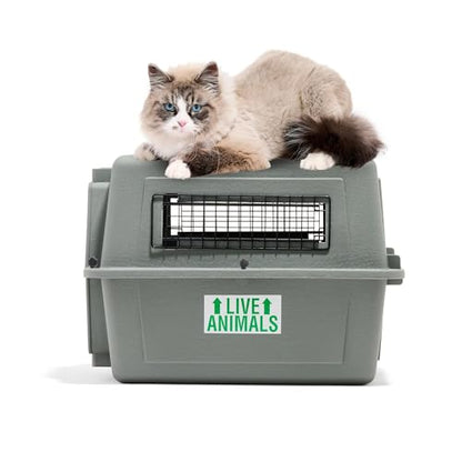 Petmate Sky Kennel For Air and Travel Airline Compliant Dog Crate for Smaller Dog Breeds or Pets up to 15 lbs, Heavy Duty Dog Kennel, Made in the USA- 21" L - size: 21 Inch