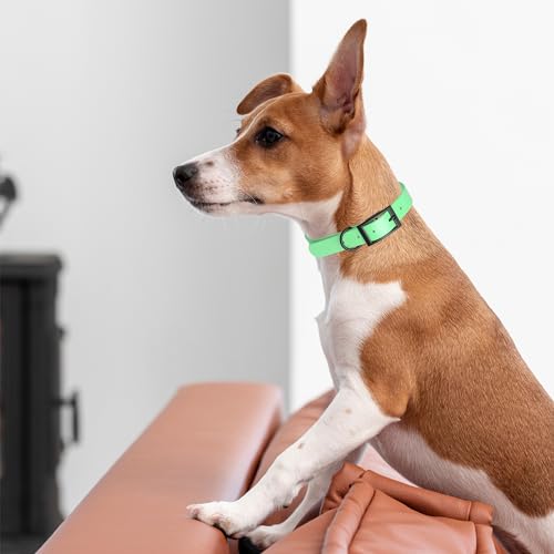 Dogline Biothane Waterproof Dog Collar Strong Coated Nylon Webbing with Black Hardware Odor- Proof for Easy Care Easy to Clean High Performance Fits Small Medium or Large Dogs, Sea Foam Green